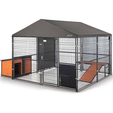 retriever kennel for dogs